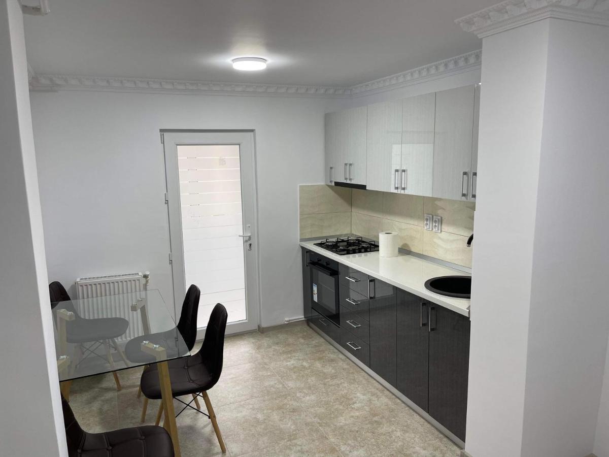 Eric Apartment Buzau Bagian luar foto